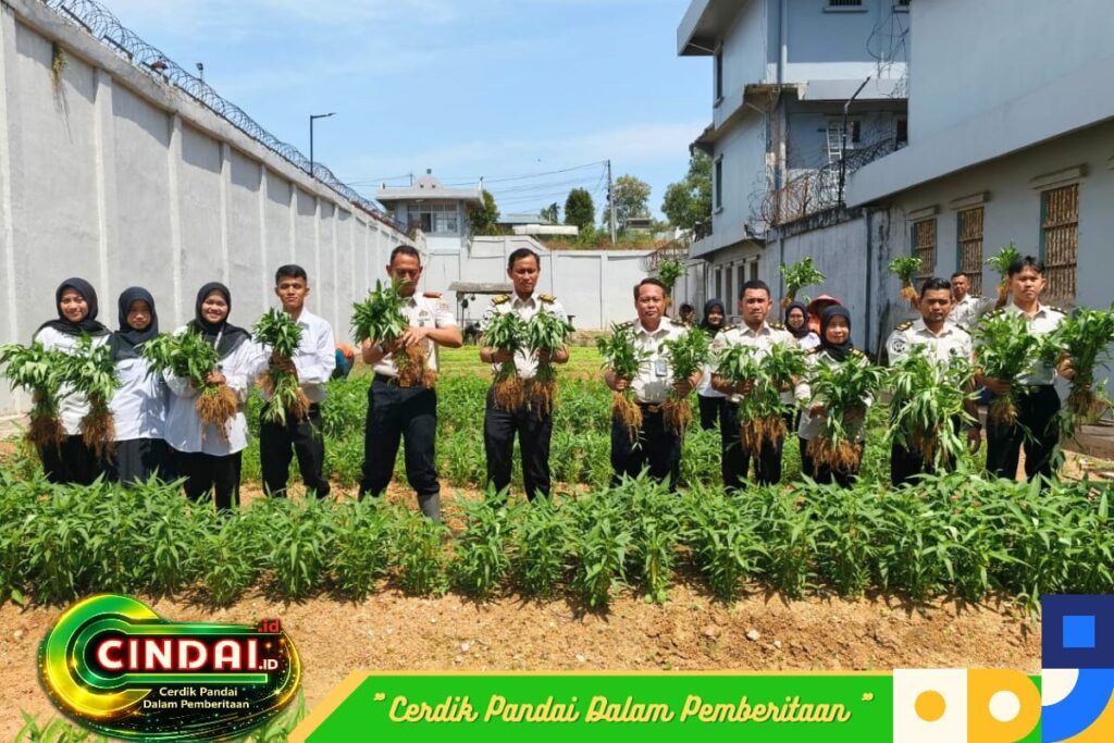 Lapas Batam Panen 150 Kg Kangkung, Wujudkan Ketahanan Pangan dan Dukung Asta Cita Presiden