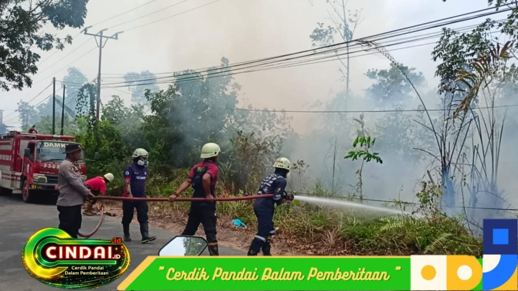 Lahan Kosong 300 Meter di Villa Vista Pinang Kencana Terbakar, Api Berhasil Dipadamkan